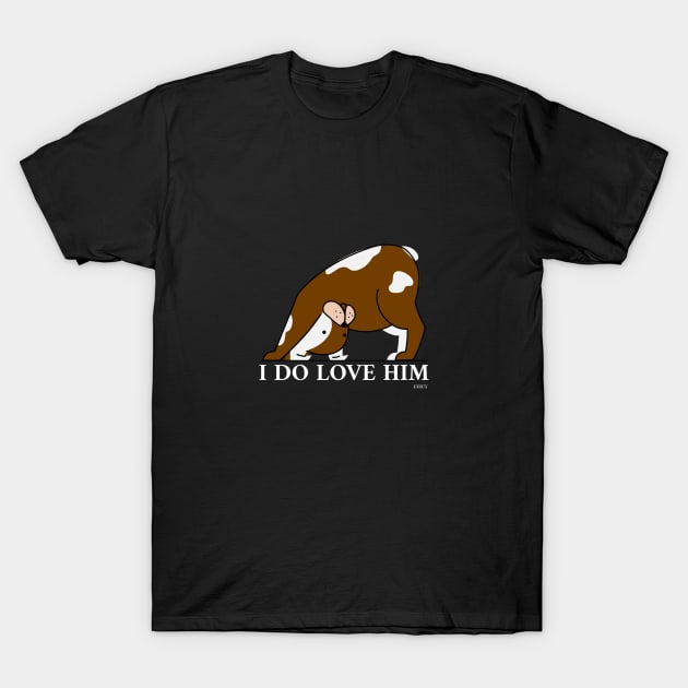 Dog Agility T-Shirt by lovelifetriumph